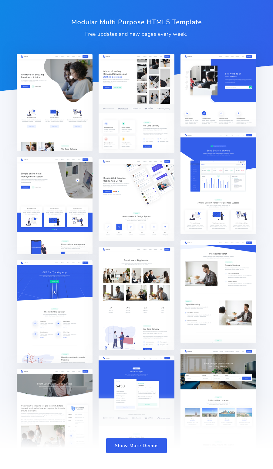 Bodrum - Modular Multi Purpose HTML5 Template - 1